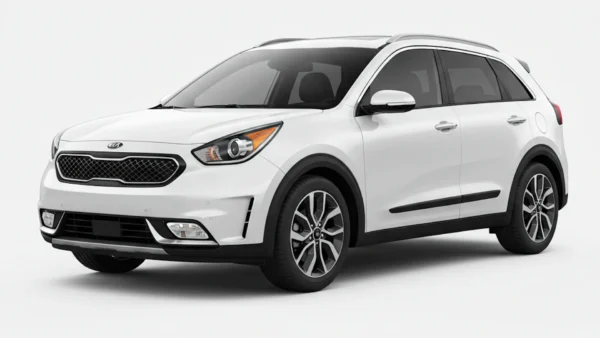 Kia Niro 2017–2019 Hybrid Battery