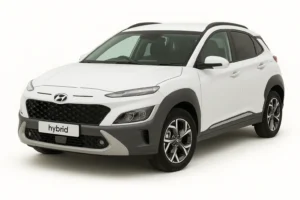 2020 Hyundai Kona Hybrid Battery Replacement