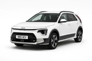 Kia Niro Hybrid Battery Replacement