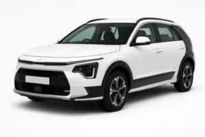 Kia Niro Plug-In Battery Replacement