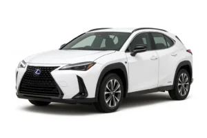 Lexus UX 300h Battery Replacement